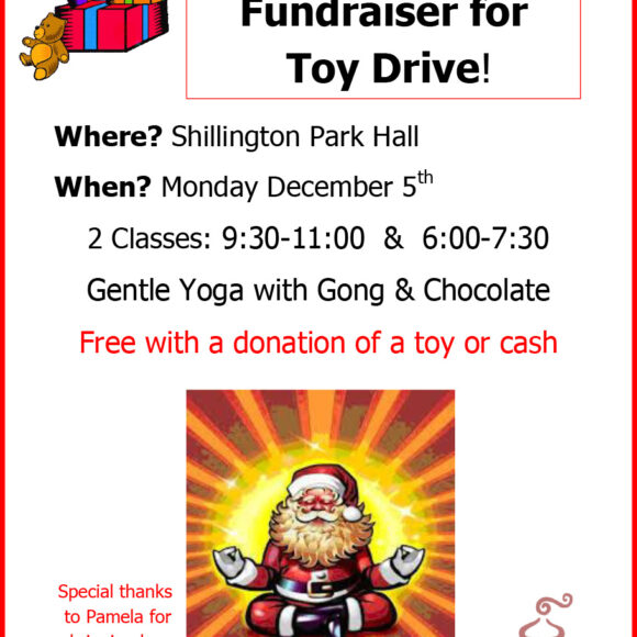 Rideau Lakes Yoga Fundraiser for Toy Drive