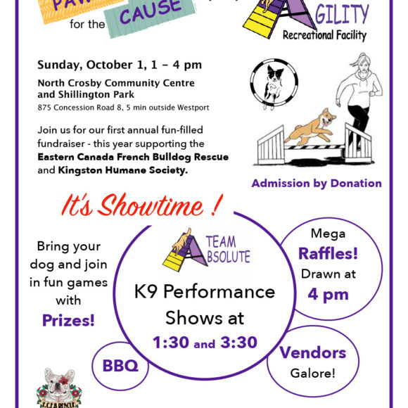 Paws for the Cause Fundraiser